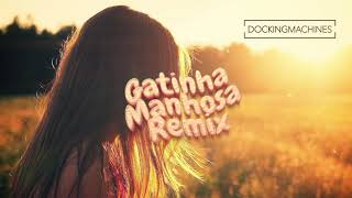 Gatinha Manhosa Remix  Léo Jaime  Lounge  Remix  Music [upl. by Annahs]