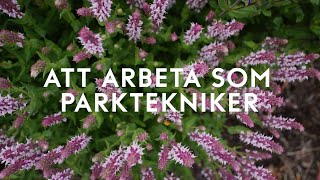 Att arbeta som parktekniker [upl. by Laws]