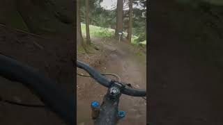 Flowtrail Blau im Racepark Schulenberg im Harz mtb enduromtb bikelive downhill [upl. by Anelyak]