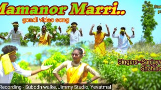 Mamanor Mari  New Gondi Full Song 2024  Singer Sanjay Atram amp Shain Shaikh [upl. by Bazil]