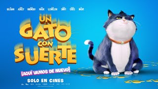 Un Gato con suerte 10 Lives  Trailer Oficial [upl. by Spector956]