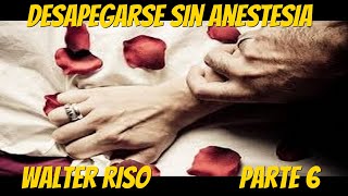 Desapegarse Sin Anestesia  Walter Riso Parte 6 [upl. by Fugere979]