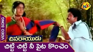 Chinarayudu Telugu Movie Songs  Chitti Chitti Video Song  Venkatesh  Vijayashanti  Vega Music [upl. by Japha]