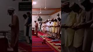 Namaz Taraweeh❤️🤲 نماز تراویح👍💝 tellawat quran😭😭you tube💝💝 varilvideos🌹🌹خوبصورت♥️♥️ تلاوت قرآن [upl. by Aneg]