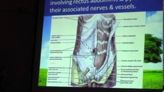 2 Dr Sherif Zaki 10022015 Muscles Fascia transversalis amp Blood supply [upl. by Anitac897]