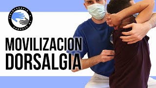 Prueba esta movilización para aliviar el dolor entre los omoplatos o dorsalgia [upl. by Gierc679]