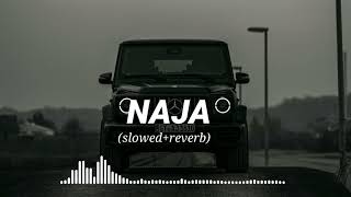 Naja Naja Mitra to door ambra to i to lagdi hai hoor song remix lofislowedreverb trendingree [upl. by Nahtaoj956]