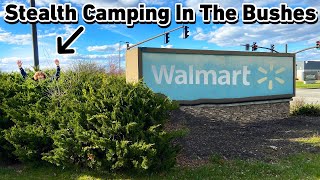 Stealth Camping In The WALMART BUSHES [upl. by Urbani478]