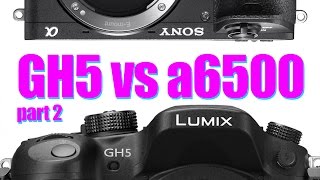 Panasonic Lumix GH5 sharpness VS Sony Alpha a6500 [upl. by Akinahs]