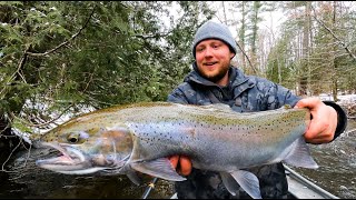 Exciting River Steelhead Fishing Cooking amp Hot Tent Camping [upl. by Janel]