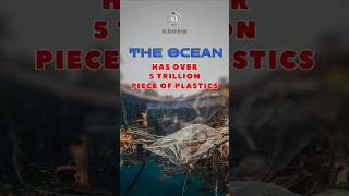 The ocean has over 5 trillion piece of plastics ocean plastics shorts facts [upl. by Delainey]