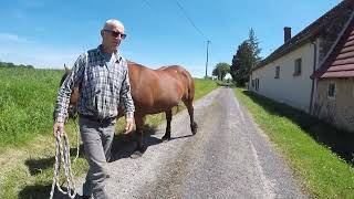 Vlog du jour  1  10 052024 Boiterie ou pas [upl. by Airret]