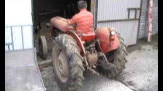 Massey Ferguson 35K Petrol [upl. by Barthold]