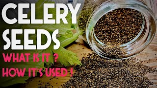 Celery Seeds  Health Benefits Medicinal Uses Side Effects [upl. by Nonnelg]