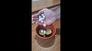 Just put Mothballs in Lemon and youll thank me Its amazing 😱Bezerra good Tips For You2024 [upl. by Llerroj]