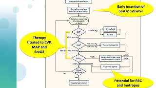 Surviving Sepsis Campaign update Massimo Antonelli 2017 [upl. by Naed]