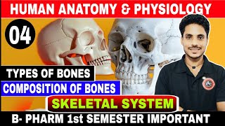 🔴 Skeletal System Anatomy And Physiology I Axial Skeletal System  B Pharmacy 1st Semester [upl. by Blase]