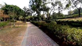 LAI CHI KOK GARDEN  3 January 2020 [upl. by Attayek429]