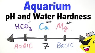 Aquarium pH and Water Hardness [upl. by Natica889]