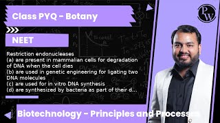 Restriction endonucleases a are present in mammalian cells for degradation of DNA when the cell [upl. by Chery662]