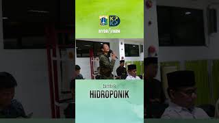 Seminar Bimbingan Teknis Hidroponik DKPKP DKI Jakarta 26 Juni 2023 [upl. by Eirallih788]