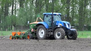 Loonwerken NeytVan Laere  New Holland T6070 amp Amazone ED 602K  mais zaaien [upl. by Angelle]