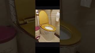 waterclosetluxury luxuryliving water closet gold funny washroom room mustbuy lofi chill [upl. by Artek]