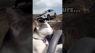 Those quotExpertquot OffRoaders shorts toyotafortuner legender offroading funny memes carguy [upl. by Tadeas432]