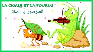 La Cigale et La Fourmi 🐜 مترجمة للعربية [upl. by Correna]