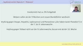 Jägerprüfung Niedersachsen Jagdhunde und die MAGISCHE 9  Welpenzeit [upl. by Oilut]