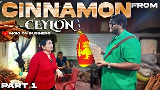 Worlds Best Cinnamon  Sri Lanka Part 1  Moki On Business [upl. by Eustashe]