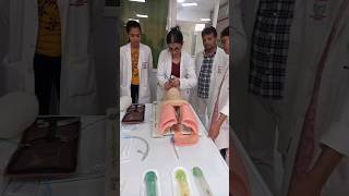 INTUBATION PROCEDURE  MBBS TRAINING  SKILL BASED TRAINING  HOSPITAL [upl. by Wexler]