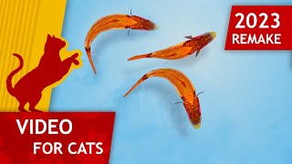 🐱Cat Games  🐟 Catching Fish Remake 2023 Video for Cats to watch 4K [upl. by Puff]