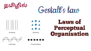 Gestalts Laws of Perceptual Organisation or Laws of Perception in Tamil✨Educational Psychology BEd [upl. by Viva46]