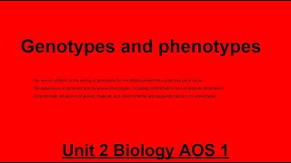 Unit 2 AOS 1 Biology Genotypes and Phenotypes [upl. by Terrill28]