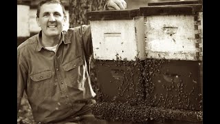 Georgia Beekeeper Victor Halbgewachs Part 1 of 2 [upl. by Bannasch172]