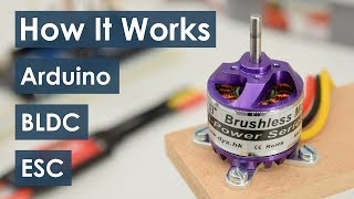 How Brushless Motor and ESC Work and How To Control them using Arduino [upl. by Okubo]