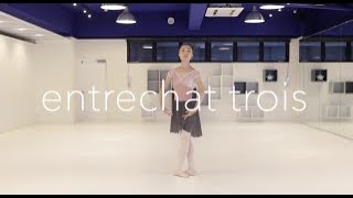 アントゥルシャ トロワ  entrechat trois【バレエ動画辞典・バレエTV】 [upl. by Neenwahs27]