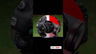 Top 5 Best DSLR Cameras in 2024 [upl. by Goat]