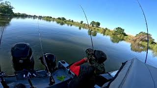 Another great day of Shad Fishing on the Sac River 2024hewescraft shad discovery park [upl. by Ecinerev435]