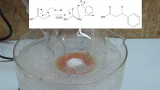 trans cinnamic acid synthesis via claisen condensation part 1 ChemPlayer tribute [upl. by Arsi678]