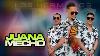 Los Hermanos Arias  JUANA MECHO [upl. by Amlus]