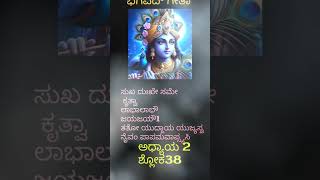 bhagavadgita sankhya yoga Kannada ಕನ್ನಡ [upl. by Euhsoj]