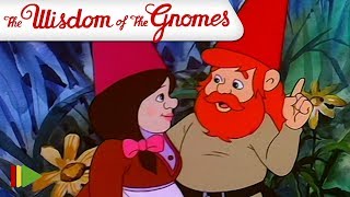 The wisdom of the Gnomes  13  The GnomeOlympics  Full Episode [upl. by Burg991]