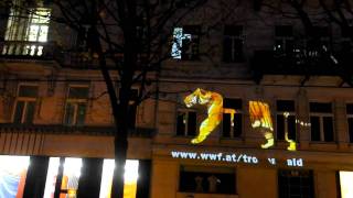 Running Tiger läuft auf der Wiener Ringstraße bewegt © Matthias Schickhofer [upl. by Jorie]