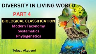 Diversity in living worldPart 4 biologicalclassification taxonomy phylylogentics systematics [upl. by Ecinaj560]