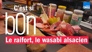 Le raifort lhistoire du wasabi alsacien  Cest si bon [upl. by Nediarb444]