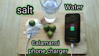 Salt water plus calamansi can charge your mobile phone DIY [upl. by Entruoc428]