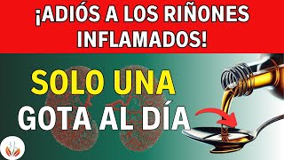 ¿Riñones Inflamados Ya No Habrá Más Pacientes Perdiendo Sus Riñones [upl. by Aihsenod]