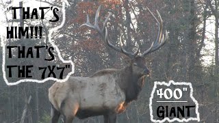 WE KILLED THE NOMAD  Massive 400 inch 7x7 Bull Elk DOWN [upl. by Llebpmac831]